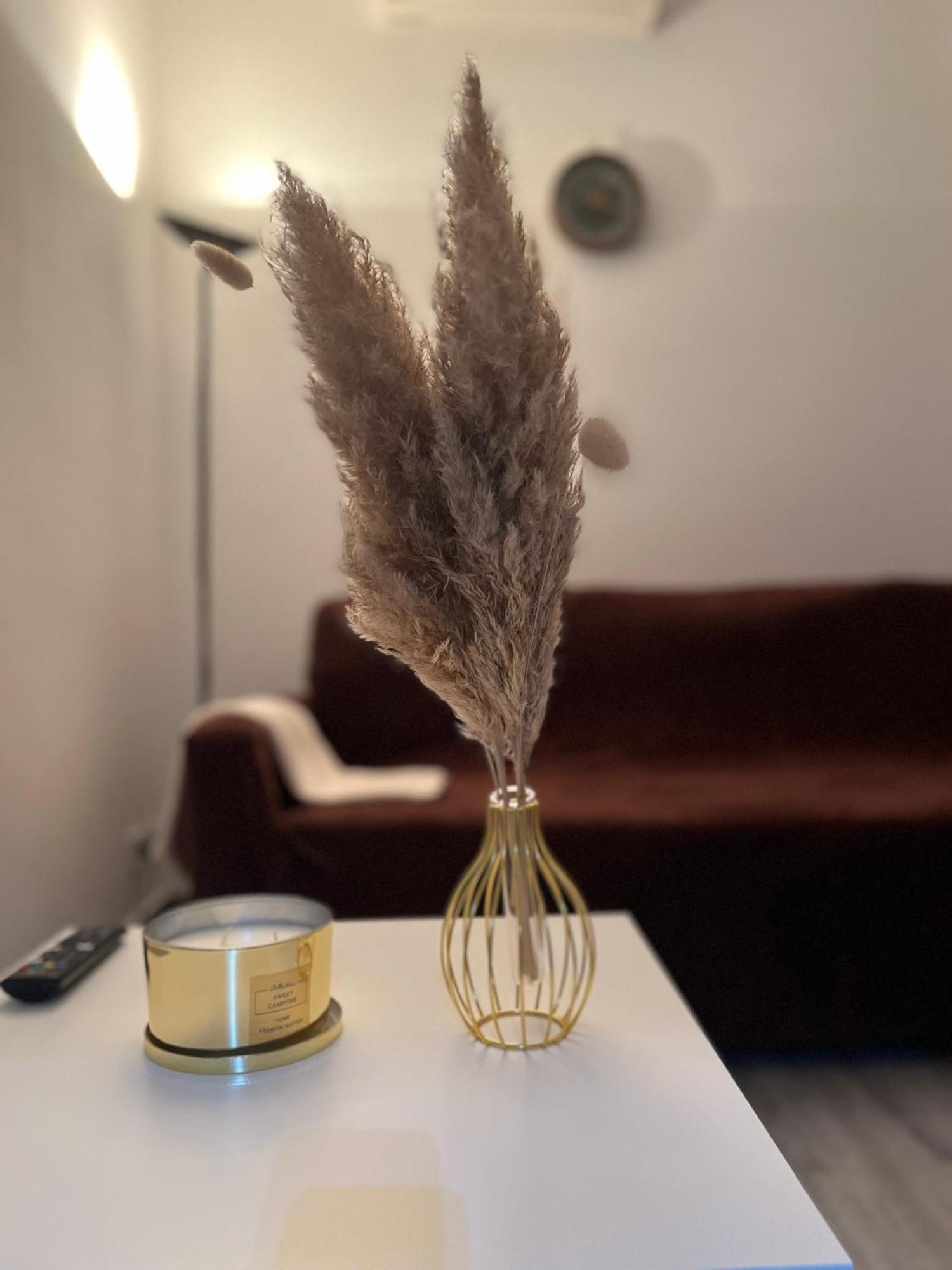 Teps Airport Appartement Venise